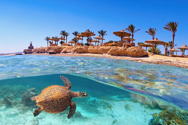 Novotel Marsa Alam - Marsa Alam, Egypt